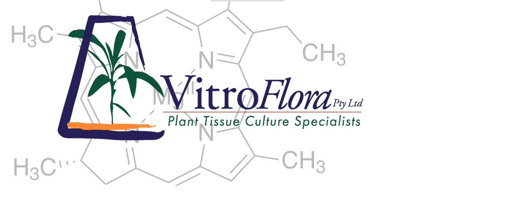 Vitroflora